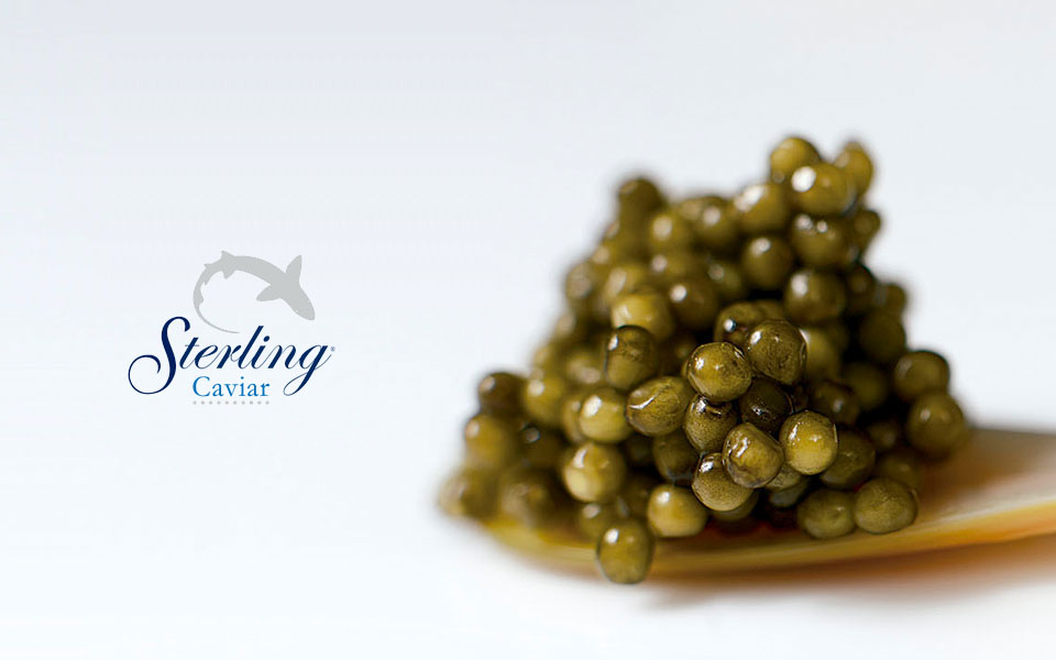 Diseño y desarrollo web de Sterling Caviar