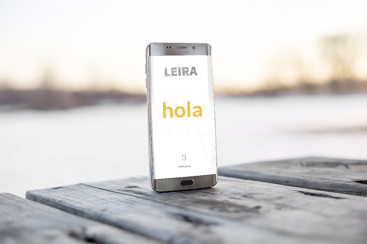 LEIRA – FINSA